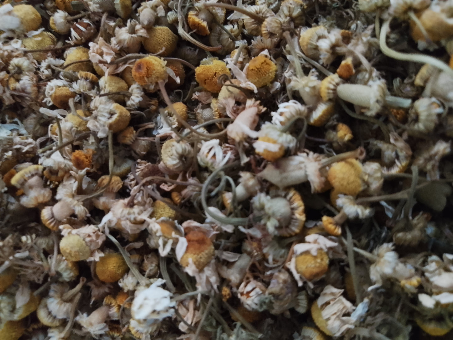Close up of dried chamomile flowers